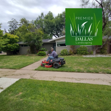 year-round lawn maintenance preview.png