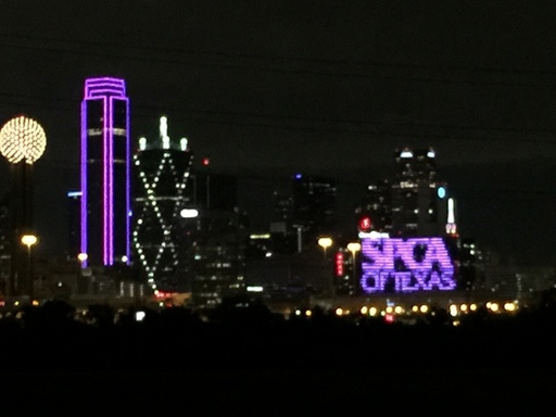 SPCA of Texas Purple Dallas Skyline.JPG